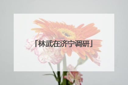 林武在济宁调研