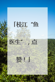 枝江“鱼医生”，点赞！