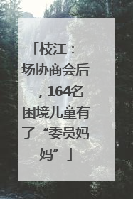 枝江：一场协商会后，164名困境儿童有了“委员妈妈”