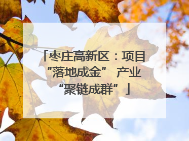 枣庄高新区：项目“落地成金” 产业“聚链成群”