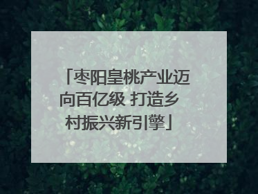 枣阳皇桃产业迈向百亿级 打造乡村振兴新引擎