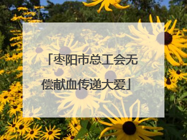 枣阳市总工会无偿献血传递大爱