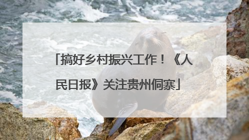 搞好乡村振兴工作！《人民日报》关注贵州侗寨