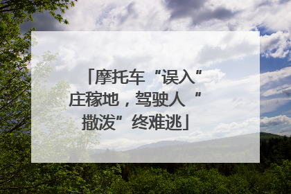 摩托车“误入”庄稼地，驾驶人“撒泼”终难逃