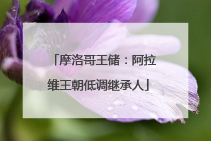 摩洛哥王储：阿拉维王朝低调继承人
