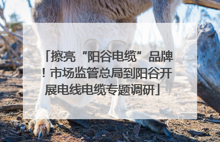 擦亮“阳谷电缆”品牌！市场监管总局到阳谷开展电线电缆专题调研