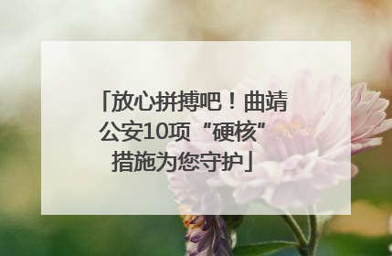 放心拼搏吧！曲靖公安10项“硬核”措施为您守护