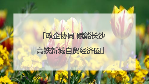 政企协同 赋能长沙高铁新城自贸经济圈