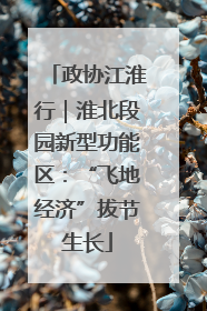政协江淮行｜淮北段园新型功能区：“飞地经济”拔节生长