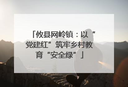 攸县网岭镇：以“党建红”筑牢乡村教育“安全绿”