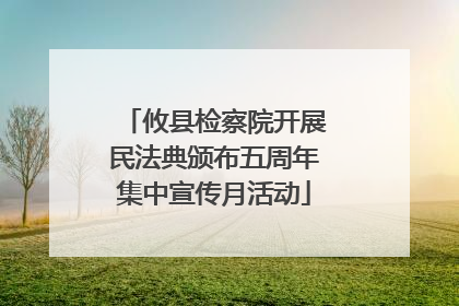 攸县检察院开展民法典颁布五周年集中宣传月活动