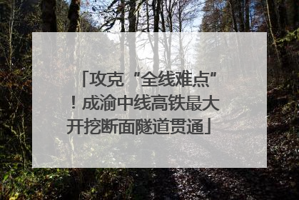 攻克“全线难点”！成渝中线高铁最大开挖断面隧道贯通