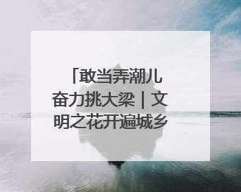 敢当弄潮儿 奋力挑大梁｜文明之花开遍城乡，徐州以昂扬风貌冲刺“万亿之城”