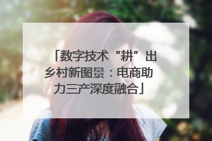 数字技术“耕”出乡村新图景：电商助力三产深度融合