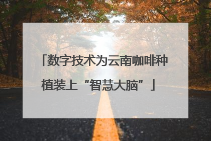 数字技术为云南咖啡种植装上“智慧大脑”