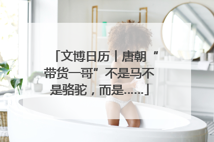文博日历丨唐朝“带货一哥”不是马不是骆驼，而是……
