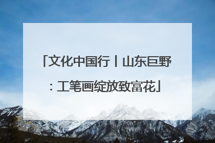文化中国行丨山东巨野：工笔画绽放致富花