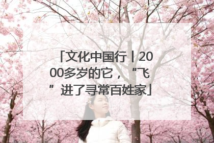 文化中国行丨2000多岁的它，“飞”进了寻常百姓家