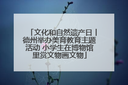 文化和自然遗产日丨德州举办美育教育主题活动 小学生在博物馆里赏文物画文物