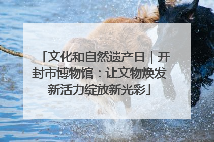 文化和自然遗产日｜开封市博物馆：让文物焕发新活力绽放新光彩