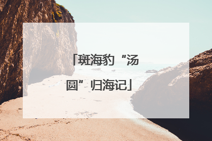 斑海豹“汤圆”归海记