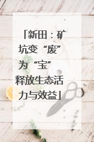 新田：矿坑变“废”为“宝” 释放生态活力与效益