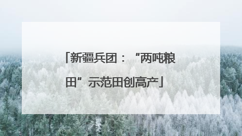 新疆兵团：“两吨粮田”示范田创高产