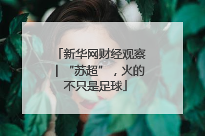 新华网财经观察｜“苏超”，火的不只是足球