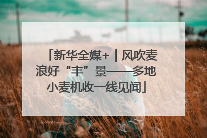 新华全媒+｜风吹麦浪好“丰”景——多地小麦机收一线见闻