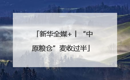 新华全媒+丨“中原粮仓”麦收过半