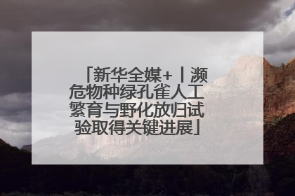 新华全媒+丨濒危物种绿孔雀人工繁育与野化放归试验取得关键进展