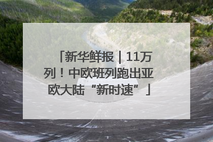 新华鲜报｜11万列！中欧班列跑出亚欧大陆“新时速”
