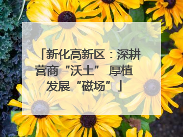 新化高新区：深耕营商“沃土” 厚植发展“磁场”