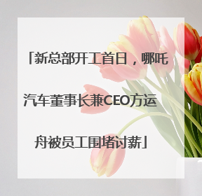 新总部开工首日，哪吒汽车董事长兼CEO方运舟被员工围堵讨薪