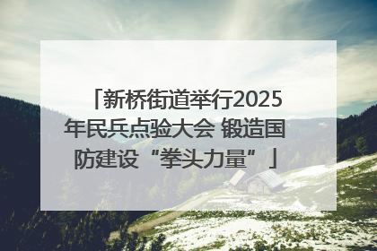 新桥街道举行2025年民兵点验大会 锻造国防建设“拳头力量”
