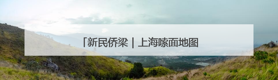 新民侨梁｜上海嗦面地图：一筷子夹起多国风味