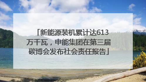 新能源装机累计达613万千瓦，申能集团在第三届碳博会发布社会责任报告