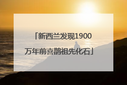 新西兰发现1900万年前喜鹊祖先化石