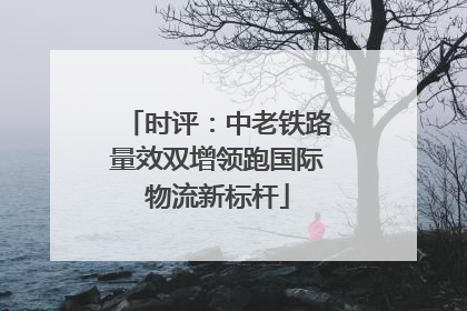时评：中老铁路量效双增领跑国际物流新标杆
