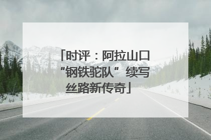 时评：阿拉山口“钢铁驼队”续写丝路新传奇