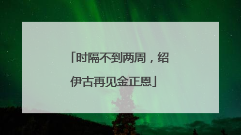 时隔不到两周，绍伊古再见金正恩