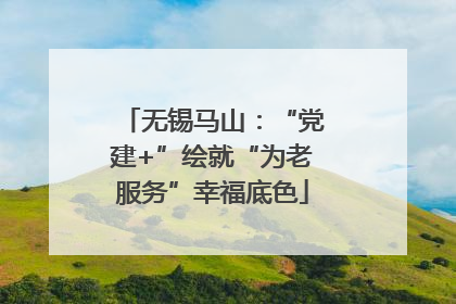 无锡马山：“党建+”绘就“为老服务”幸福底色