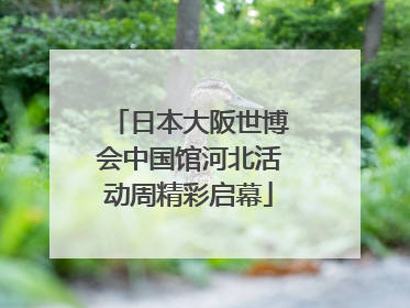 日本大阪世博会中国馆河北活动周精彩启幕