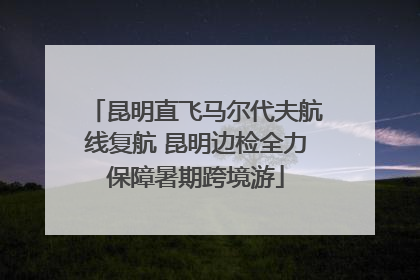 昆明直飞马尔代夫航线复航 昆明边检全力保障暑期跨境游
