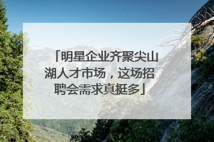 明星企业齐聚尖山湖人才市场，这场招聘会需求真挺多