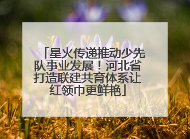 星火传递推动少先队事业发展！河北省打造联建共育体系让红领巾更鲜艳