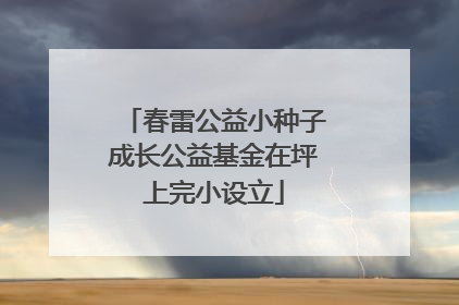春雷公益小种子成长公益基金在坪上完小设立