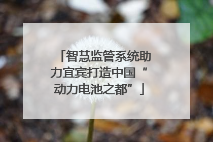 智慧监管系统助力宜宾打造中国“动力电池之都”