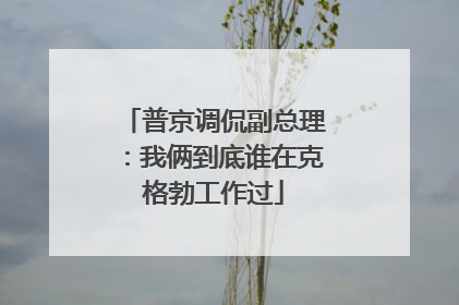 普京调侃副总理：我俩到底谁在克格勃工作过