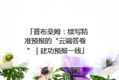 普布桑姆：续写精准预报的“云端答卷”｜建功预报一线